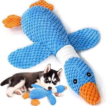 Dog Toys