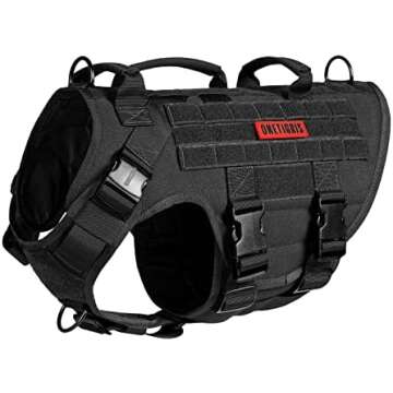 Dog Gear (Collars, Leashes, Harnesses etc.)