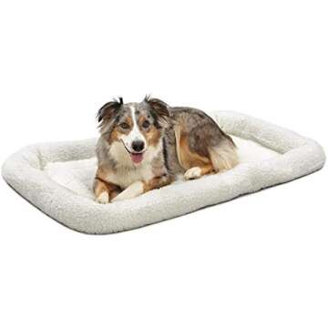 Pet Beds & Furniture