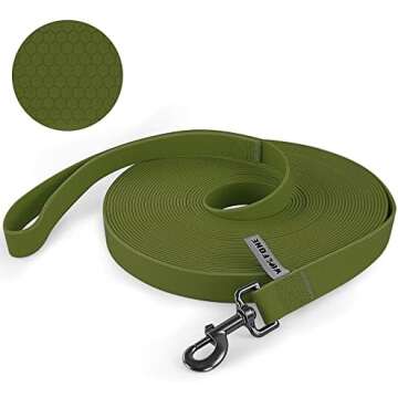 Adiestramiento canino | Educación canina