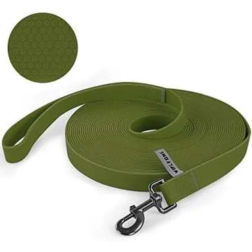 Adiestramiento canino | Educación canina