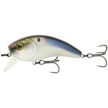 Top water & Wake Baits