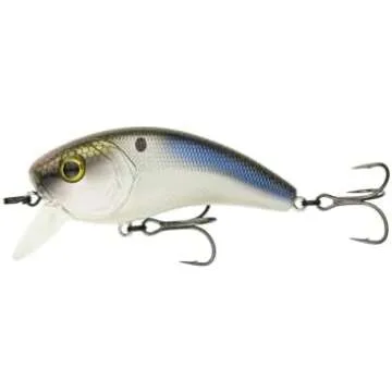 Top water & Wake Baits