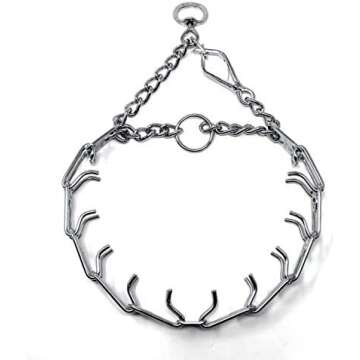 Dog Training Equipment