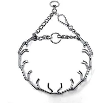 Dog Training Equipment