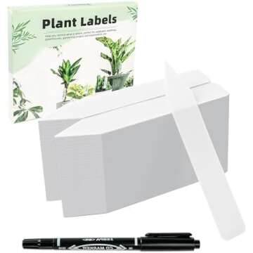 How to DIY Herb Garden for Beginners