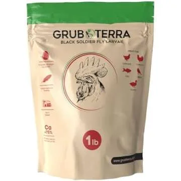 Chicken Coop Essentials