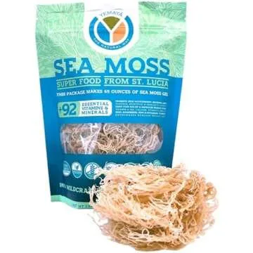 Smoothie Ingredients