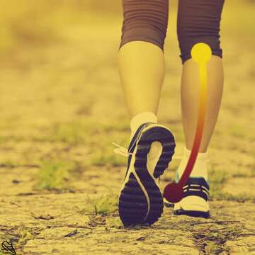 Best Running Shoes For Overpronation