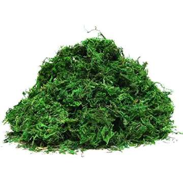 Glass & Resin Plants