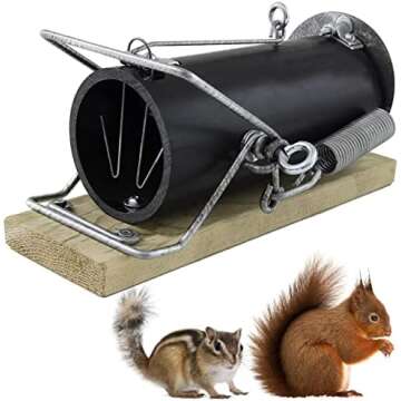 Best Squirrel Traps