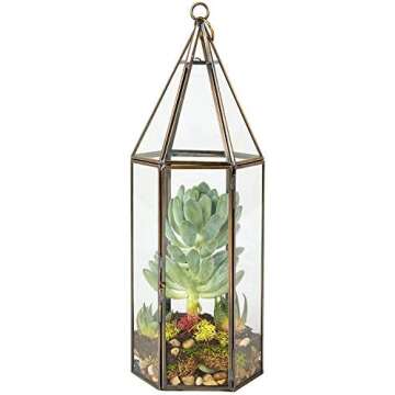 Terrariums & Greenhouses