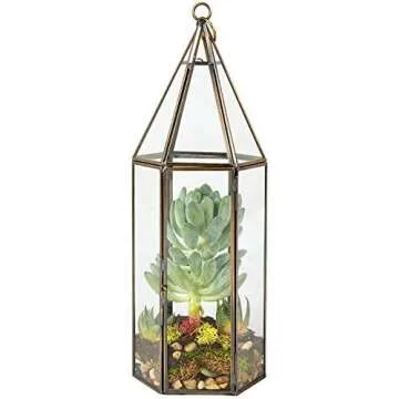 Terrariums & Greenhouses