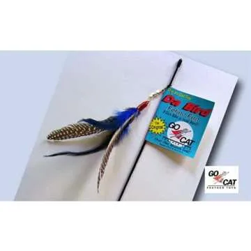 New Kitty Essentials