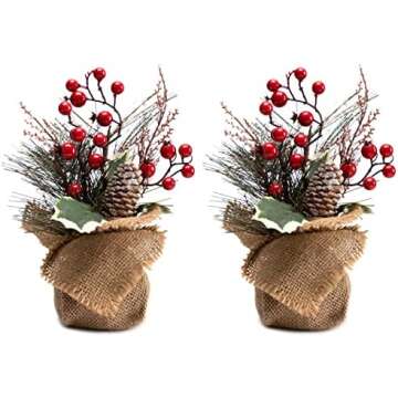 Christmas decor 🎄