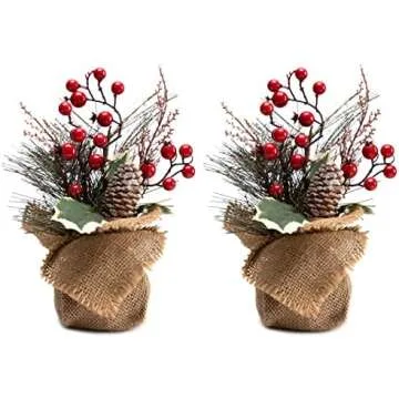 Christmas decor 🎄