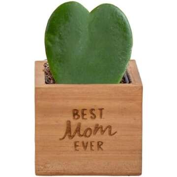 Valentine's Day gift ideas