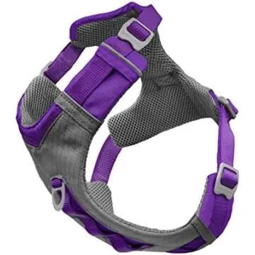 DOG SPA DAY AND FAVORITES