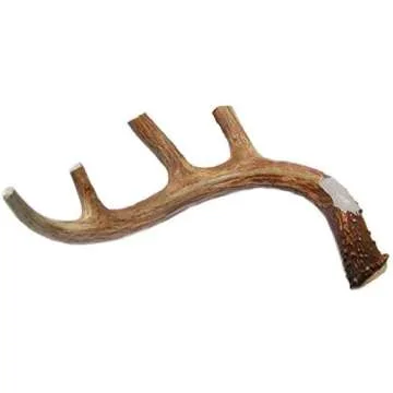 Best Dog Toys for Super Chewers