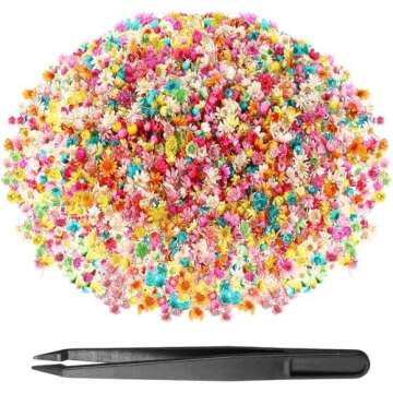 Dried Flowers & Paper Flowers