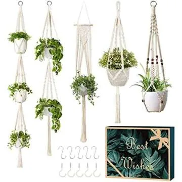 Shelves and plant stands