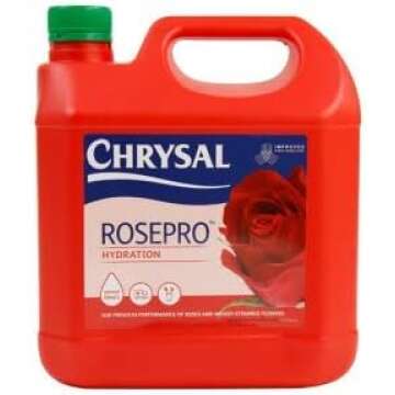 Hidratacion de flores y cuidados