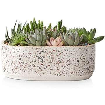 Shallow Planters for house plants