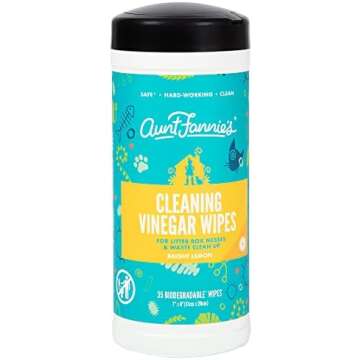 Non-Toxic Cleaning Supplies