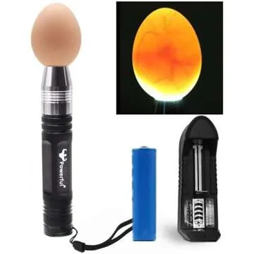 Chicken Keeping Supplies