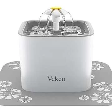 PRIME DAY CAT & KITTEN DEALS