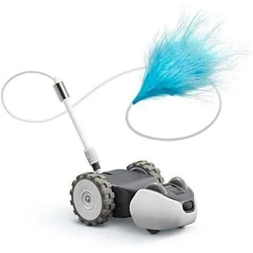 Best Remote Control Cat Toys