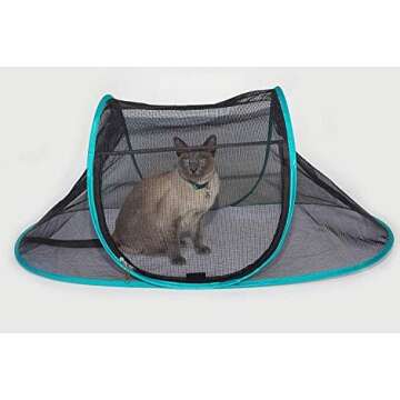 Cat tent outdoor 😻