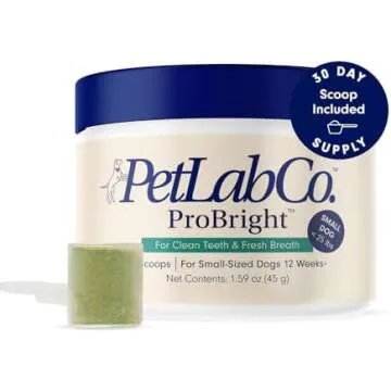 Supplements and Calming Products for Dogs