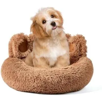 Pet Beds & Blankets