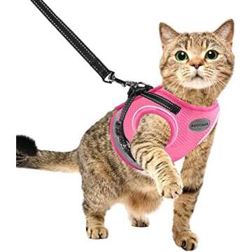 Cat Harness 😻