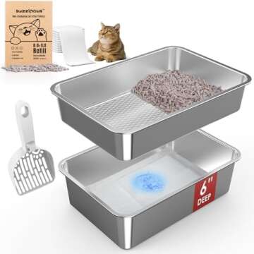 Max's Fav things (my cat) hehe