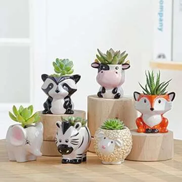 Unique and Fun Planters