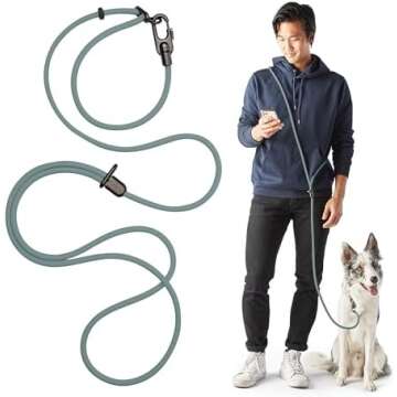 Pet Products We Love