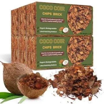 Orchid pots and Growing media