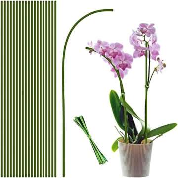 Pretty Plant Accessories 🪴