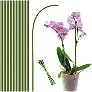 Pretty Plant Accessories 🪴