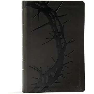 The Lost Sheep ✝️