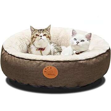 My Favorite Cat Products!