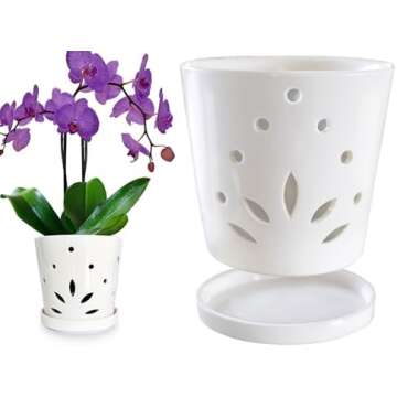 ORCHIDS AND ORCHID POTS & CARE MATERIALS