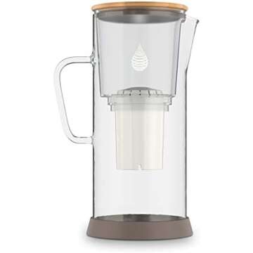 Toxic-Free Air & Water