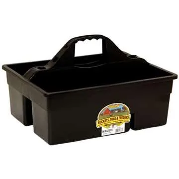 Horse Care / Grooming