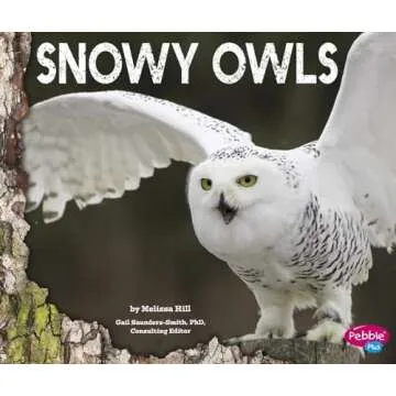 Owl Books
