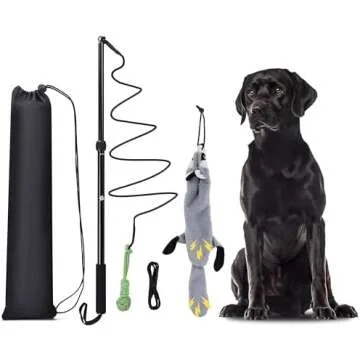 Physical Enrichment (Not Food Related)