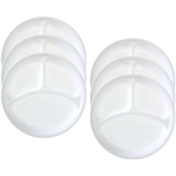 VISUAL WISDOM PLATES