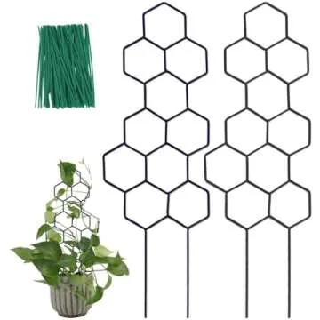 Needed It - Now I Love Having It!